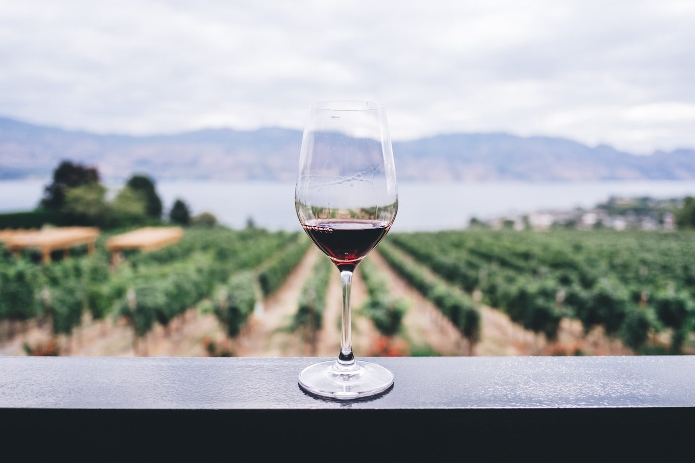 Turismo en viñas y rutas del vino Chile